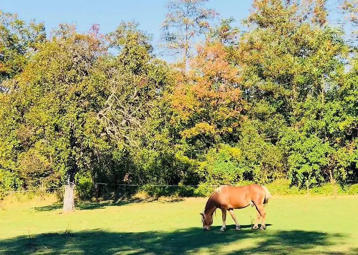 Apartahotel Apartman Maxim Lux Razlog